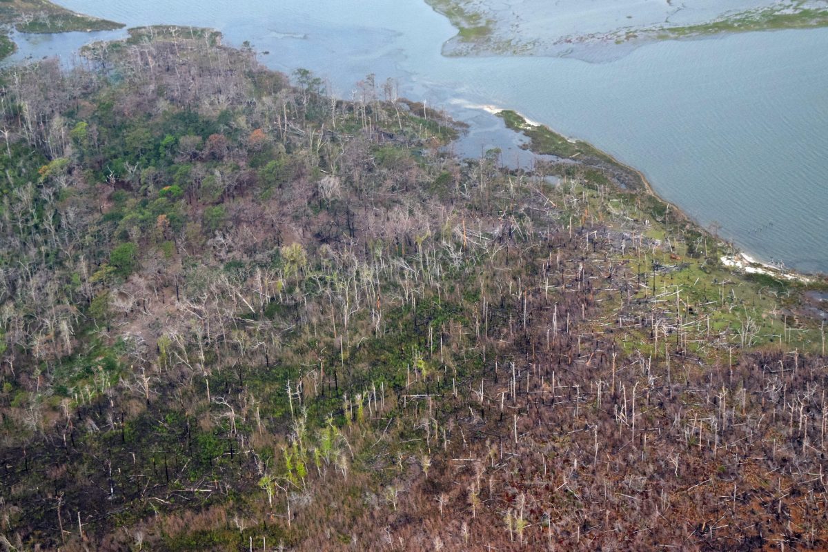 LiDAR data can inform planning for sea level rise: Study | Coastal Review 1 LiDAR data can inform planning for sea level rise: Study | Coastal Review