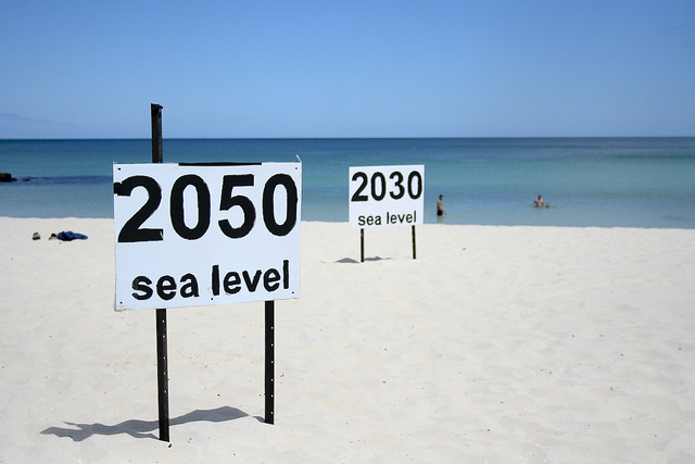 sea level rise 2050