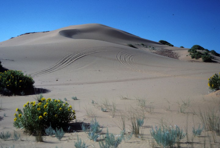 The massive dune at Jockeys Ridge State Park. File Photo