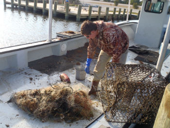 This crab pot and tangled net were retrieved attached together, a mess of marine debris. Photo: staff