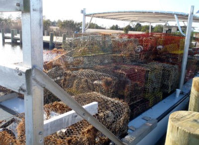 This boatload of derelict crab pots were retrieved all in a day's work on the water for two Outer Banks watermen. The N.C. Coastal Federation hired the men as part of its two-year pilot program to collect abandoned crab pots. Photo: staff