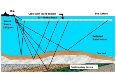 In a 3D seismic survey a vessel tows an array of air guns and hydrophones behind it. The guns emit pulses of ultrasonic sound waves that can penetrate up to 10,000 feet into the seafloor. The hyrdrophones detect the sound reflected off the seafloor. Computers can then draw three-dimensional images of the geologic structure and provide clues to reserviors of oil or natural gas. Graphic: American Petroleum Institute