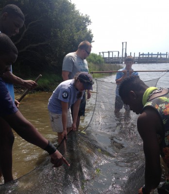 Rachel  Davis, center-left, helps a group of students pull up a seine net to see and learn about the critters living in the water. Photo: Brad Rich