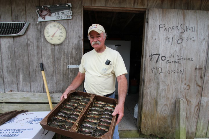 An N.C. crabber shows off his soft shell crab harvest. Photo: Sam Bland