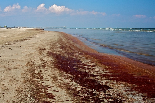 N.C. Oil Pollution and Hazardous Substances Pollution Control Act requires reporting spills to the N.C. Department of Environment and Natural Resources and other authorities. Photo: UNCW