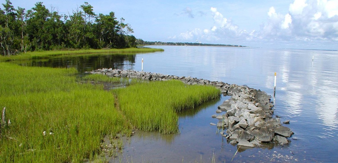 report-cites-benefits-of-living-shorelines-coastal-review