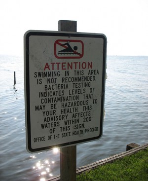 State health officials have issued swimming advisories at Banks Channel because of bacteria stormwater runoff. Photo: NCSU