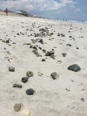 Rocks sucked from an offshore borrow site during North Topsail Beach's beach nourishment project pepper a portion of the three and a half-mile stretch of southernmost shoreline in town. The project, mired by weeks of equipment and weather delays, was completed June 30. Photo: Talton