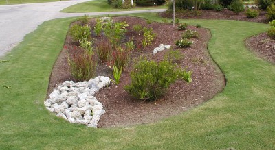 Rain gardens can be an effective, attractive and low-cost way to reduce the flow of stormwater runoff. Photo: North Carolina Coastal Federation