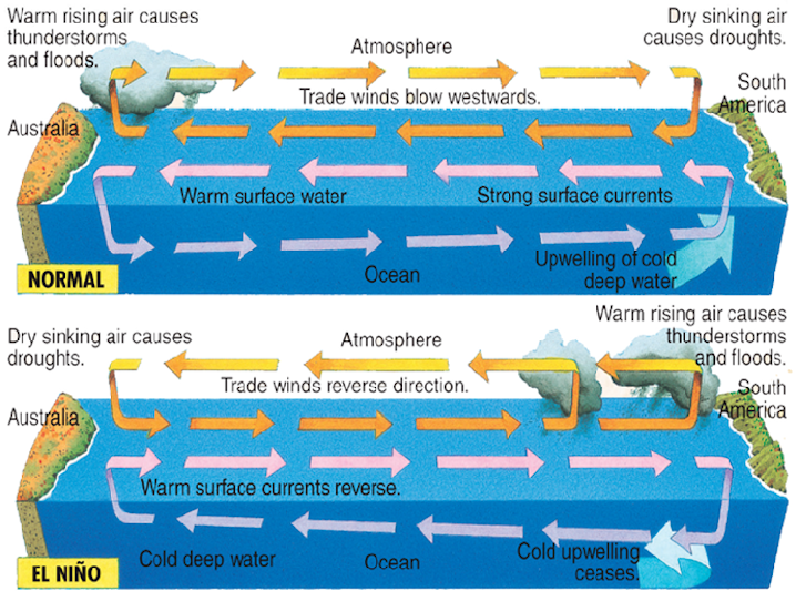 el nino case study geography