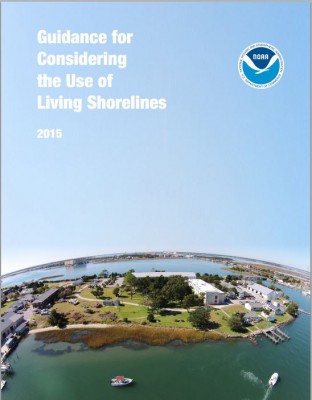 The National Oceanic and Atmospheric Administration’s “Guidance for Considering the Use of Living Shorelines”  explains benefits of natural shoreline stabilization projects. Photo: NOAA