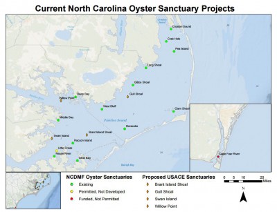 oystersanctuaries