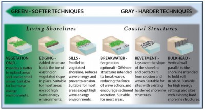 Various shoreline-stabilization methods are shown, ranging from "green" living shorelines to hardened structures, shown in gray. Image: NOAA