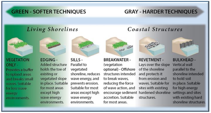 Corps Eases Living Shoreline Permit Process | Coastal ...