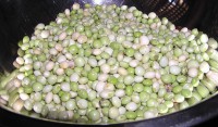 Pigeon peas 