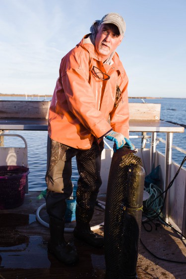 Oysters Tell the Story of Our Coast | Coastal Review