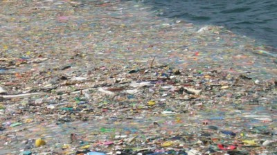 great pacific garbage patch birds