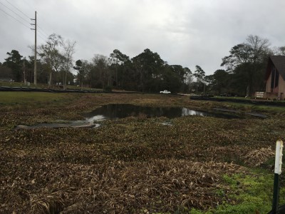 Once the drainage work is done, construction of anew wetlands system will begin. Photo: Lexia Weaver