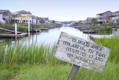 A legislative study of the state's coastal stormwater regulations is due in April. Legislators last year wanted to rollback standards. Stormwater is the largest source of water pollution in North Carolina and responsible for closing thousands of acres of shellfish waters.