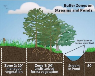 A riparian buffer is a strip of forested or vegetated land bordering a body of water. Source: N.C. Department of Environmental Quality
