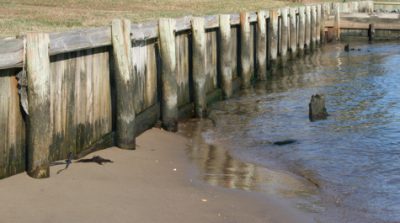 A bulkhead permit can generally be received in North Carolina much faster than a permit for a living shoreline. Photo: Chesapeake Bay Foundation