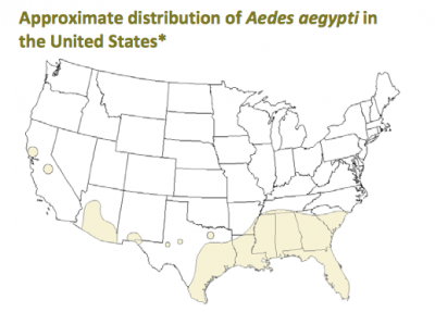 Aedes aegypti is one type of mosquito responsible for the spread of Zika virus. Map courtesy Centers for Disease Control and Prevention, 2013