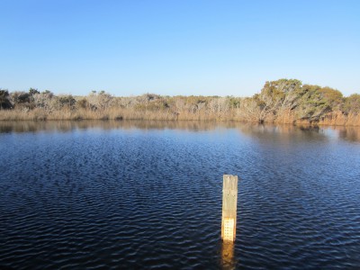 water gauge at Cape Point