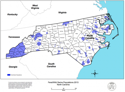 FeralSwineMap-768x568