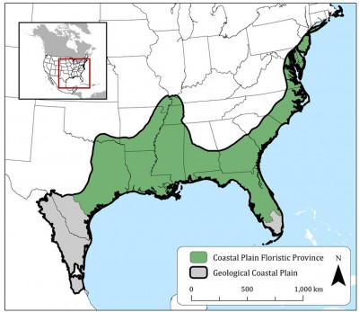 The North American Coastal Plain biospot covers more than 800,000 square miles from Florida to Maine. Map: Critical Ecosystems Partnership Fund