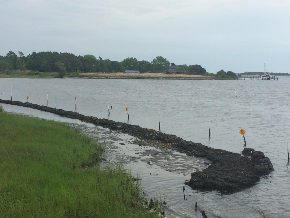 A Living Shoreline Laboratory Coastal Review