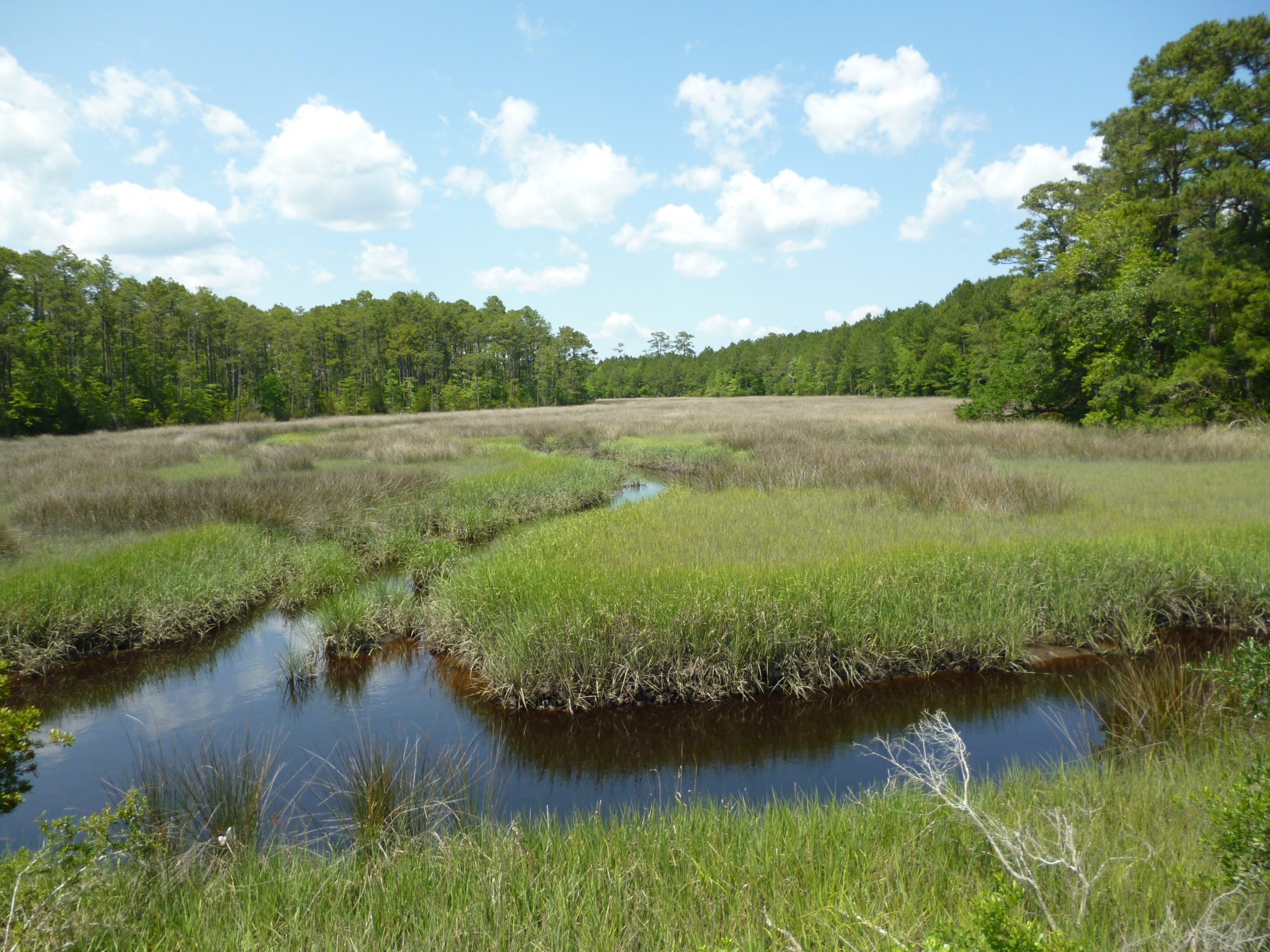 Origins, Growth of North Carolina Land Trusts Coastal Review