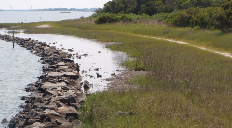 A living shoreline project on Stump Sound in Onslow County. Photo: N.C. coastal Federation