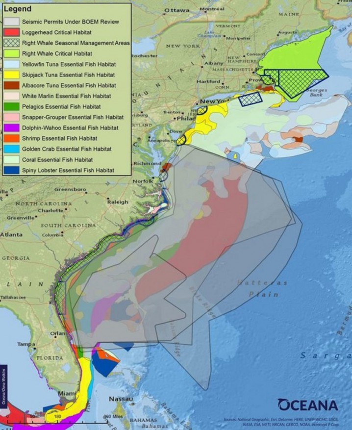 Map of essential fish habitats. Illustration: Oceana