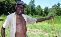 Johnnie Willis, 88, toils Friday in the garden behind his house in town. He worked at creosote operation for years. Photo: Mark Hibbs