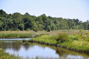 The 251-acre Kerr-McGee site on Sturgeon Creek might be considered prime waterfront real estate if not for the contamination. Photo: Mark Hibbs