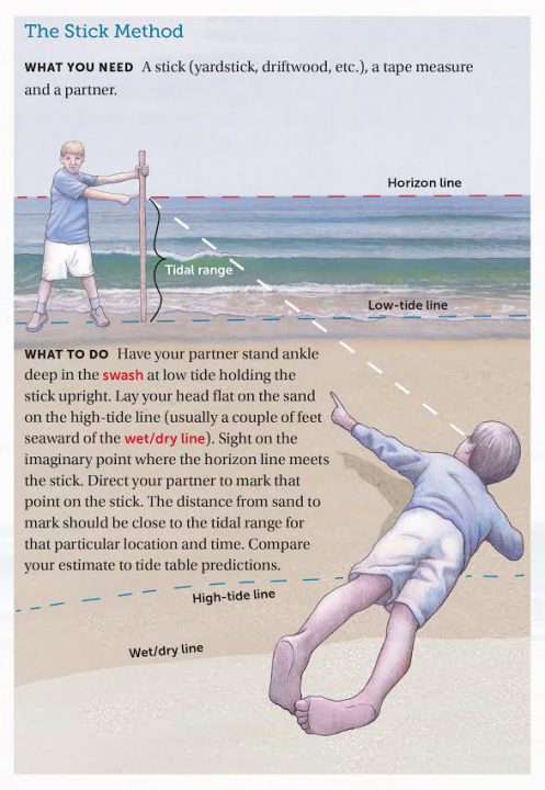 A tidal range estimation activity from LESSONS FROM THE SAND: FAMILY-FRIENDLY SCIENCE ACTIVITIES YOU CAN DO ON A CAROLINA BEACH by Charles O. Pilkey and Orrin H. Pilkey. Copyright © 2016 by Charles O. Pilkey and Orrin H. Pilkey. Illustrations © 2016 by Charles O. Pilkey. Published by the University of North Carolina Press. Used by permission of the publisher.