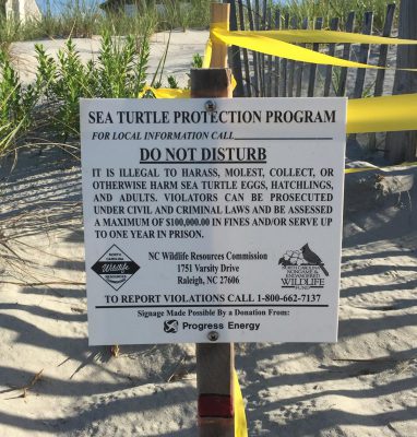 When a turtle nest is located, it is marked and a sign warning people not to disturb the area is placed on it. 