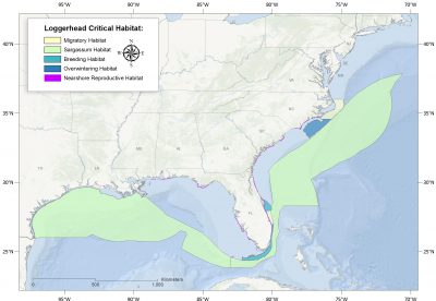 Both migratory and breeding habitats for loggerheads were designated in North Carolina. Map: NMFS