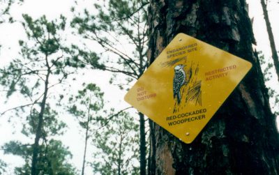 Red-cockaded woodpecker signs alert soldiers of protected areas at Fort Bragg. Photo: U.S. Army Environmental Command