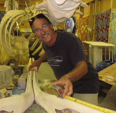 Keith Rittmaster has devoted his career to protecting and saving marine mammals. Photo: N.C. Maritime Museum