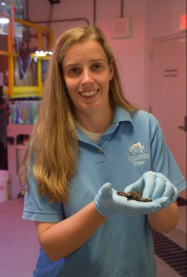 Lamping poses with a hatchling in a back room of the aquarium where she cares for them. Photo: Ashita Gona.