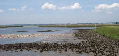 The North Carolina Coastal Federation created this oyster reef in Hoop Pole Creek in Carteret County. Photo: N.C. Coastal Federation