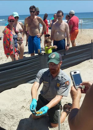 Beach-goers watch William Thompson excavate hatched sea turtle nest. Photo: Island Free Press