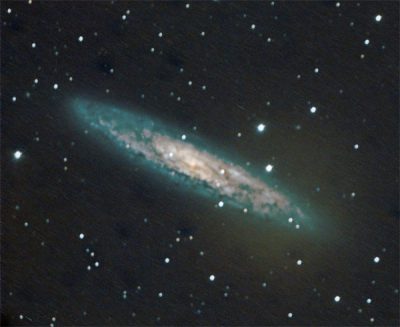 The Sculptor Galaxy, NGC 253, is the third-brightest galaxy in the night sky. Photo: Gerry Lebing