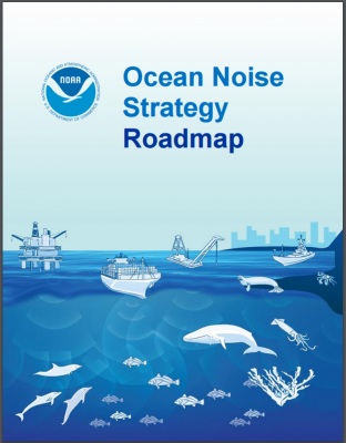 NOAA's agency-wide Ocean Noise Strategy is intended to ensure that noise effects on aquatic species and their habitat are adequately addressed during the next 10 years.