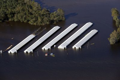 A concentrated animal feeding operation in Duplin County is inundated by the Northeast Cape Fear River. Photo: Rick Dove, Waterkeeper Alliance