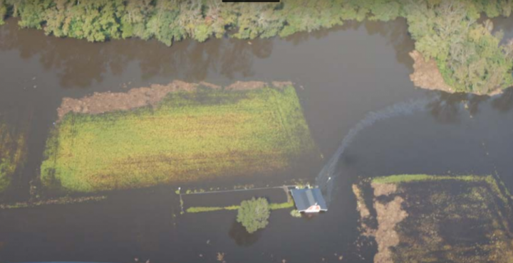 The sheen of an unknown substance flows from an inundated barn. Photo: U.S. Coast Guard