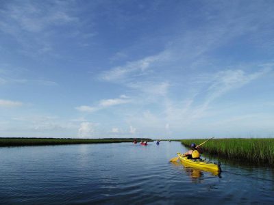 Paddlers with a Second Wind eco-tour head out on the water. Photo: Second Wind Eco Tours