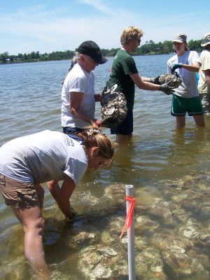 North Carolina Coastal Federation volunteers help create living shorelines at Jones Island. Photo: Sam Bland