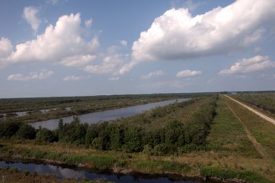 The program at Pocosin Lakes includes water management and wetlands restoration. Photo: U.S. Fish and Wildlife